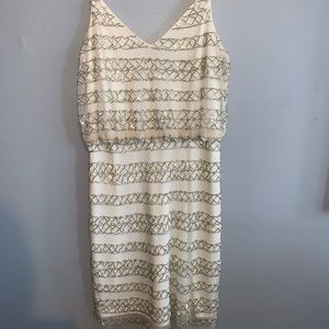 Adrianna Papell Evening Dress